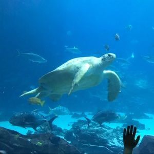 Meet your Posher, Emma